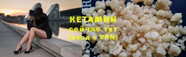 шишки Абаза