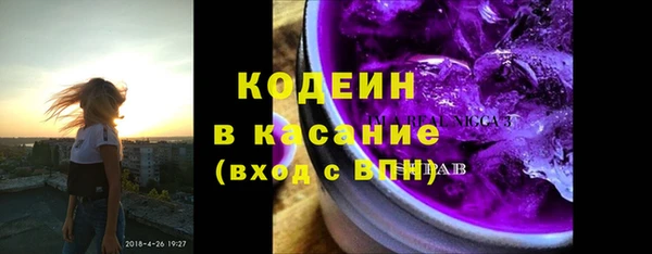 шишки Абаза