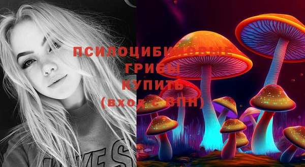 2c-b Абдулино
