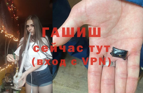 шишки Абаза