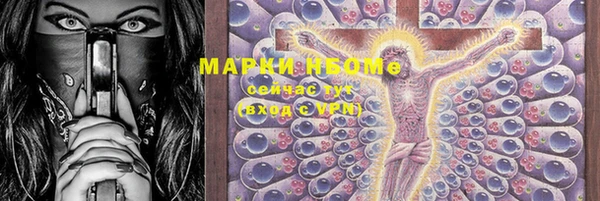 шишки Абаза
