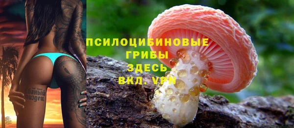 стафф Абинск