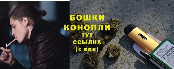шишки Абаза