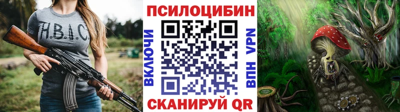 где можно купить   Кировград  Псилоцибиновые грибы Psilocybe 
